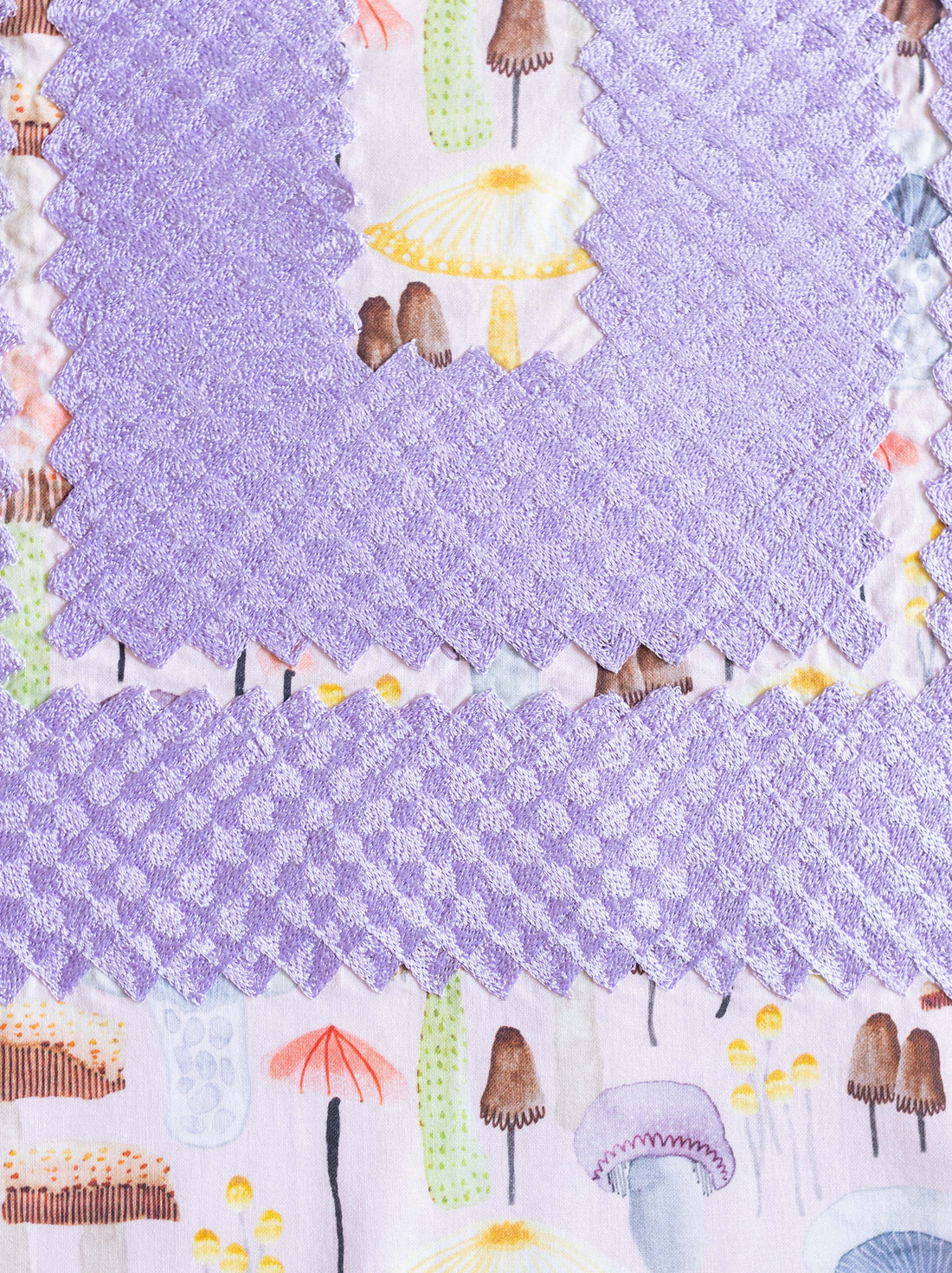 Huipil Metsk Reino Fungi